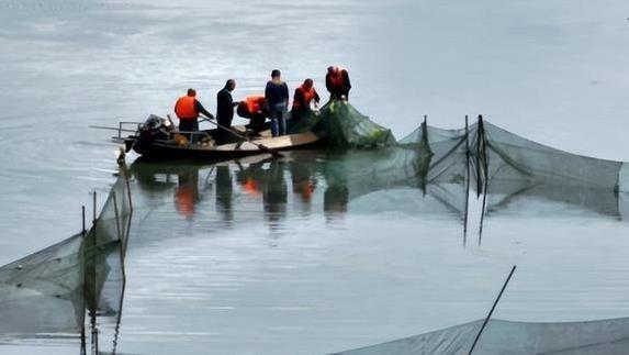 游来游去, tenan, 啥也没捞着 游来游去, tenan, 啥也没捞着