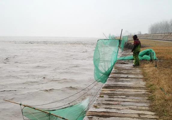 脑子, 海里鱼少了 脑子, 海里鱼少了